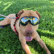Защитные солнцезащитные очки для собак, Защитные солнцезащитные очки для собак, водонепроницаемые солнцезащитные очки для собак 2024 - купить недорого