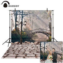 Allenjoy Photophone Backdrop for Photographic Studio European Arch Bridge Street Lake Wedding Background Fotografia Photocall 2024 - buy cheap