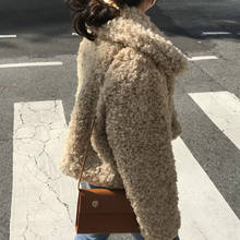 Autumn Winter Short Teddy Bear Jacket Women 2020 New Fourrure Femme Faux Fur Coat  Korean Plush Jacket Turn-down Collar Overcoat 2024 - buy cheap