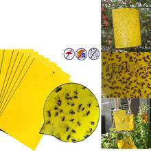 20/10/5pcs Strong Flies Traps Bugs Sticky Board Catching Aphid Insects Pest fly trap killer Outdoor Fly Trap for Aphids Fungus 2024 - buy cheap