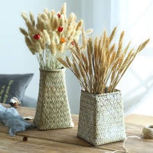 20PCS Dried Natural Flowers Bunny Tail Grass Wheat Ear Dry Flower Bouquet Wedding Marriage Decoration Home Decor Accessories 2024 - buy cheap