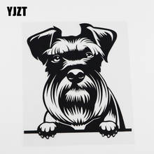 YJZT 15.6CMX17.2CM водонепроницаемый Schnauzer Dog Peeking виниловая Автомобильная наклейка черный/серебристый 8A-0058 2024 - купить недорого