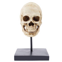 HeyMamba Gothic Human Skull Statue Sculpture Display Skeleton Head Model Halloween Decoration Photography props 2024 - buy cheap