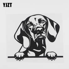 YJZT-pegatina de vinilo para coche, pegatina divertida de Vizsla Dog Peeking de 17,5 cm x 15cm, color negro/plateado, 8A-0094 2024 - compra barato