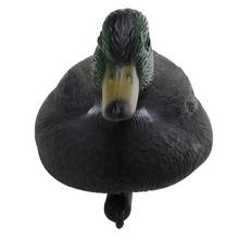 PE Hunting Duck Decoy Floating Duck Decoy with Weighted Keel Realistic Drake Decoy Hunting Bait for Hunting Fishing 2024 - buy cheap