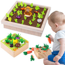 Игрушка детская деревянная, набор игрушек Монтессори, подходящая морковка, развивающая игрушка для детей, Новогодний подарок 2024 - купить недорого