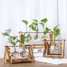 Jarrones de plantas hidropónicas creativas, contenedor de marco transparente, flores de escritorio, decoración de bonsái para el hogar 2024 - compra barato