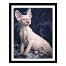 Diamond Embroidery Cat DIY  Diamond Painting Animals Sphynx Decoration Home Full Square/Round Drill Resin 2024 - buy cheap