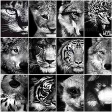 Tiger Lion Diamond Art Kits for Adults Black and White 5D Diamond Painting Full Square Round Drill Mosaic Rhinestones Embroidery 2024 - buy cheap