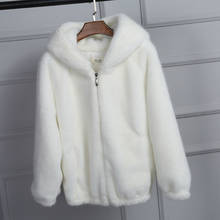 Faux Fur Coat Women 2019 Soft Zipper Hooded Plush Streetwear Fashion Casual Mink Fur Coat 2024 - buy cheap