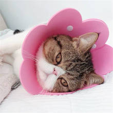Pet Elizabeth Circle Recovery Sleeve Collar Cat Wound Healing Medical Anti Bite Sun Flower Saliva Towel Felt Cloth Cat Collar 2024 - buy cheap