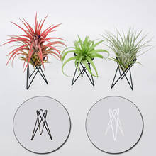 Tillandsia-Soporte geométrico para plantas de aire, decoración del hogar, oficina, interior y exterior, exhibición de arte de hierro, adornos de jardín, mesa, soporte para macetas de flores 2024 - compra barato