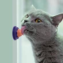 Lanches doces saudável para gato, lambendor catnip de açúcar nutrição beber energia bola de brinquedos para gato gatinho brincadeira produtos para gatos de estimação 2024 - compre barato
