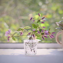 Прозрачная стеклянная ваза, Настольная Ваза для гидропонных растений, домашний декор, контейнер для свежих цветов, банка, Скандинавская бутылка для хранения цветов 2024 - купить недорого