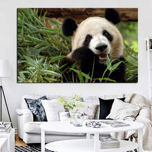 Parede de impressão pop arte animal bambu panda urso paisagem pintura a óleo sobre tela cartaz moderno parede imagem para sala estar cuadros 2024 - compre barato