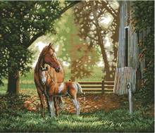 MM Top Quality Lovely Hot Sell Counted Cross Stitch Kit Mare and Foal Two Horse Horses Mother and Baby dim 35260 2024 - buy cheap