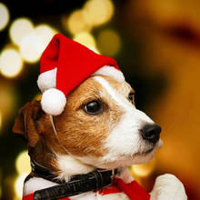 Sombrero de Papá Noel para mascotas, adornos para disfraz de Navidad para cachorros pequeños, gatos y perros 2024 - compra barato