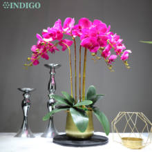 Индиго- (5 орхидеи + 3 листа + горшка) фиолетовые орхидеи «сделай сам», цветочное оформление, реальные прикосновения, для мероприятий, для дома, центральный цветок, дропшиппинг 2024 - купить недорого
