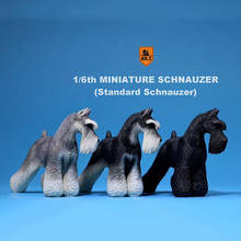 1:6 Scale Mr.Z Resin PVC Miniature Standard Schnauzer Dog Model Toy fit 12" Action Figure Toys Accessories 2024 - buy cheap