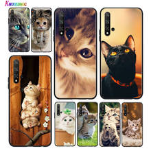 Bright Black Cover Cute Cat Kitten for Huawei Honor 30 20S 20 10i 9S 9A 9C 9X 8X 10 9 Lite 8A 7C 7A Pro Phone Case 2024 - buy cheap