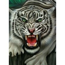 5D DIY Diamond Painting Cross Stitch Kit Square/Round Diamond White Tiger Picture Mosaic Embroidery Gift Home Decoration BM116 2024 - buy cheap