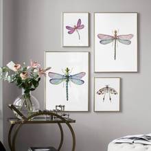 Nordic Posters Colorful Dragonfly Insect Canvas Painting and Prints Animals Wall Art Pictures for Living Room Kids Room Decor 2024 - buy cheap