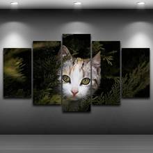 Decoração da casa quadro moderno hd quadros impressos 5 painéis gato bonito cartazes modulares animais quadros de arte da parede quadros lona 2024 - compre barato