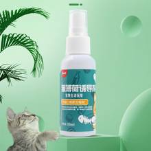 50ml Cat Catnip Spray Pet Training Toy Organic Natural Healthy Kitten Cat Mint Funny Scratching Toy Pet Accessories 2024 - buy cheap