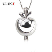 CLUCI Funny 925 Sterling Silver Apple Cage Pendant Women Smiling Apple Face Pendant Cartoon Charms Pendant Silver 925 SC331SB 2024 - buy cheap