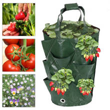 Strawberry Potato Planter Bags for Growing Vegetables Fruit Outdoor Vertical Garden Pocket 5/7/10 Gallon Planting Tool Container 2024 - buy cheap