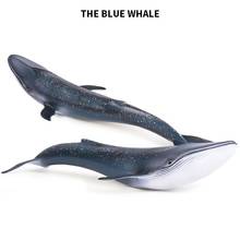 27cm Simulation Whale Ocean Sealife Animals PVC Model Kids Learning Toy Gift  For Kids Learning Toy Children Gift New 2024 - buy cheap