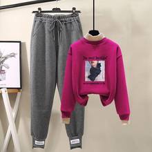 Autumn and Winter Two-piece Imitation Lamb Plush Sweater High Waist Harem Casual Pants Two-piece Fashion Suit Women 2024 - buy cheap