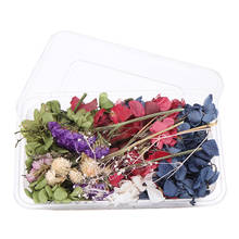 Herbicário artesanal para transporte de flores, folhas secas reais, plantas, artesanato, ferramenta de fundição para flores e papel, 1 caixa 2024 - compre barato