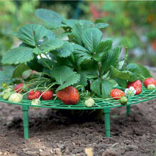 Strawberry Stand Frame Holder 5/10/15/20 Balcony Planting Rack Fruit Support Plant Flower Climbing Vine Pillar Gardening Stand 2024 - buy cheap