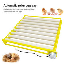 Automatic 360 Degree Rotary Egg Turner Roller Tray Farm Incubation Tool Duck Quail Bird Poultry Eggs Hatching Incubator N01 2024 - buy cheap