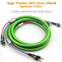 hifi SP-6008Ag OCC silver-plated speaker center line amplifier speaker cable AV audio cable 2024 - buy cheap