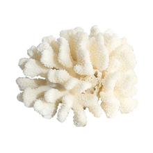 Белый коралл ракушка Коралловый цветок украшение аквариума окно морская улитка фигурки миниатюры Средиземноморский орнамент образцов 2024 - купить недорого