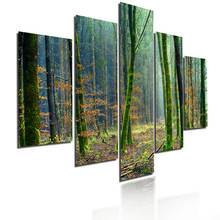 Modern Home Decoration Poster Virgin Forest Tree Trunk Covered By Moss Natural Landscape HD Photography Canvas Printing Painting 2024 - buy cheap
