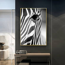 Pôster zebra preto e branco, pinturas em tela de animal, pôster impresso, arte para parede para sala, decoração de casa, sem moldura 2024 - compre barato