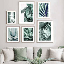 Pintura en lienzo de plantas tropicales, carteles nórdicos e impresiones de hojas de palma de Aloe verde para decoración de pared de sala de estar 2024 - compra barato