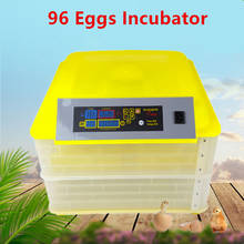 Farm Chicken Egg Incubator 12V 220V Incubator Poultry Digital Brooder Hatchery Machine Temperature Control Automatic Turn Egg 2024 - buy cheap
