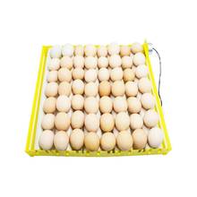 Mini incubadora para 56 ovos, chocadeira automática com bandeja giratória de ovos, ferramenta com motor, incubadora de ovos, patos, pássaros de ganso, 220v/110v 2024 - compre barato
