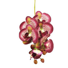 Orquídea de mariposa Artificial de tallo corto, orquídea de látex Real, Phalaenopsis, para decoración Floral del hogar, 10 Uds. 2024 - compra barato