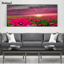 large 5D DIY Diamond painting poppy flowers field Sunset puzzle Full Diamant embroidery mosaic rhinestone Home Decor EE995 2024 - buy cheap