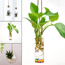 1Pc Glass Flower Vase Transparent Hanging Plant Vase Container Home  Decor 2024 - buy cheap