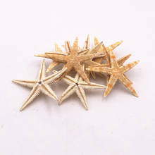 Size 3-4Cm 20Pcs/Bag Mini Starfish Craft Decoration Natural Sea Stars Five Finger DIY Beach Cottage Wedding Decor Accessories 2024 - buy cheap