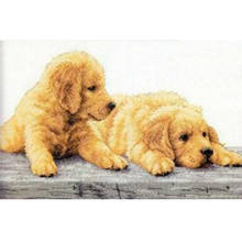 Amishop Gold Collection Counted Cross Stitch Kit Golden Retriever Puppies Puppy Dog Dogs Dim 70-35309 35309 2024 - buy cheap