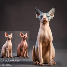 1/6 Resin Animal Model Jxk010 1/6 Canadian Hairless Sphynx cat 3 Colors Pet Animal F 12" Action figure soldier 2024 - buy cheap