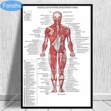 Art Poster Anatomical Chart Human Body Anatomy Medical Posters and Prints Wall Art Decoration Canvas Painting Room Home art deco 2024 - buy cheap