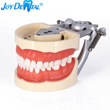 Dente dental articulado modelo m8012 demonstração de ensino com removível 32 peças dentes parafuso anatômico montado 2024 - compre barato